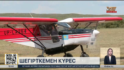 Қарағанды облысында шегірткеге қарсы химиялық өңдеу күшейтілді