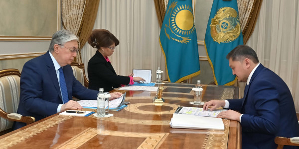 Глава государства принял министра науки и высшего образования Саясата Нурбека