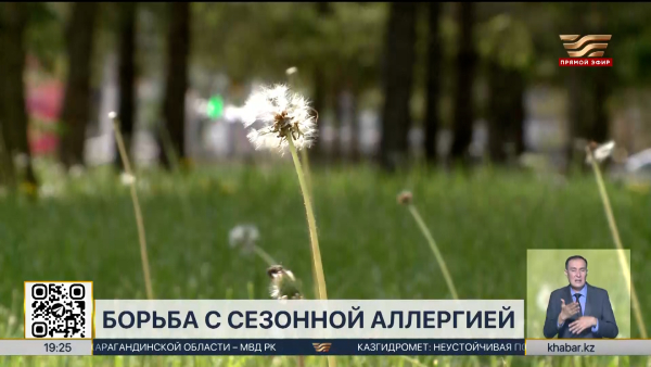 В Казахстане испытывают уникальную вакцину от аллергии на полынь