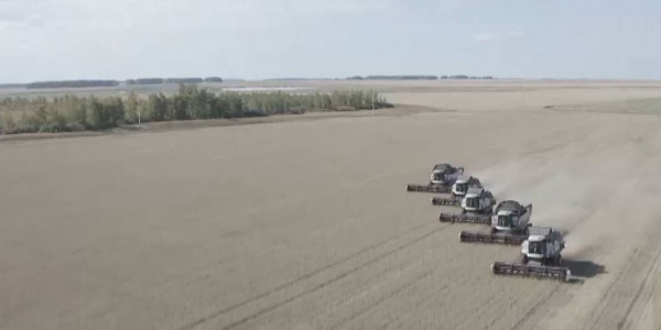 Дополнительный объем дизтоплива выделили аграриям СКО