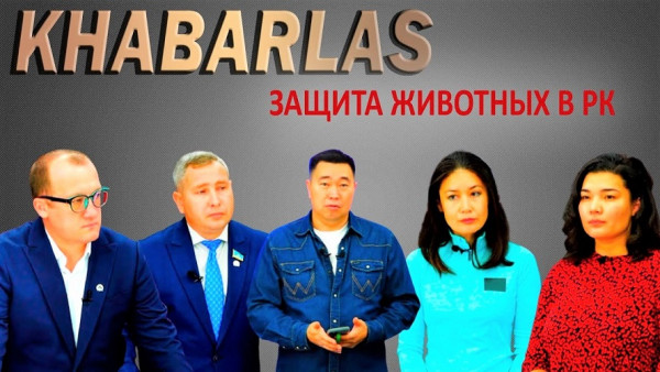 Мы в ответе за тех, кого приручили