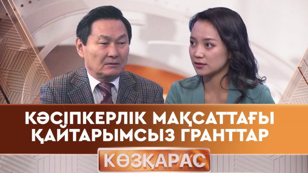 Кәсіпкерлік мақсаттағы қайтарымсыз гранттар. &laquo;Көзқарас 2&raquo;