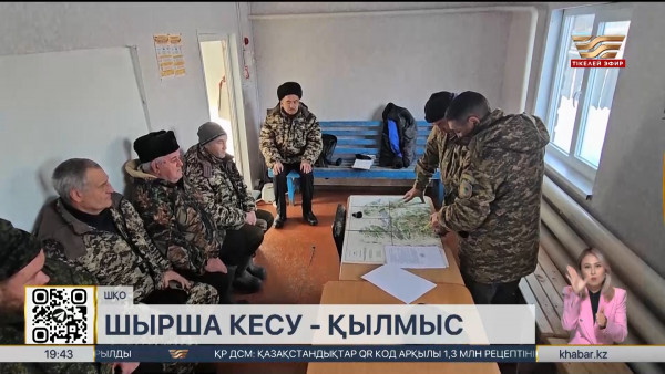 ШҚО-да орманды алқаптар маңында бақылау күшейтілді