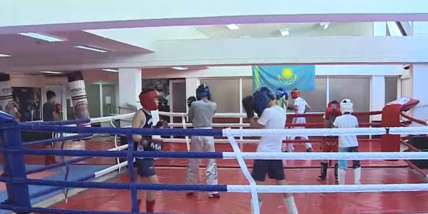 Сенаторы приняли поправки в Закон по вопросам культуры, физической культуры и спорта