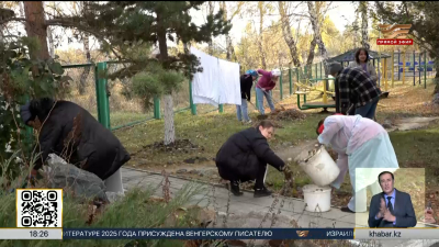 Волонтёры и молодёжь провели субботник в Петропавловске