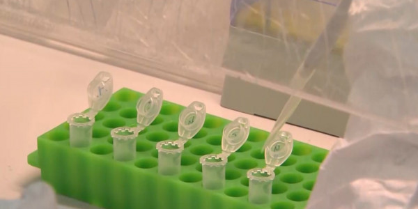 Қазақстандық вакцина 300 адамға ерікті түрде салынды