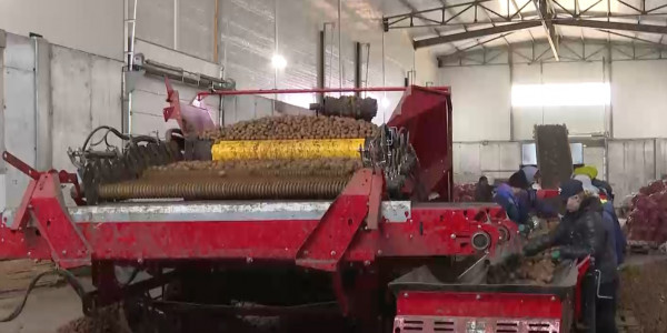 Два овощехранилища построят в Атбасарском районе