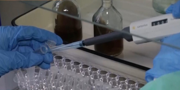 Қостанай облысында пандемияның екінші толқынына дайындық жүріп жатыр