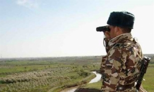 Гражданин РФ задержан при попытке незаконного провоза 20-килограммовой туши косули