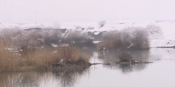 Сайрам ауданында заңсыз жер қазу көбейді
