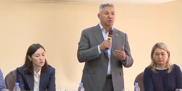 Депутаттар Конституцияға енгізілетін өзгерістерді халыққа түсіндіруде