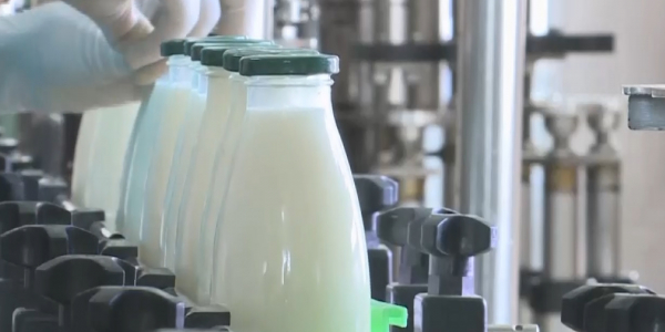 Bie sutinen zhasalgan krem 