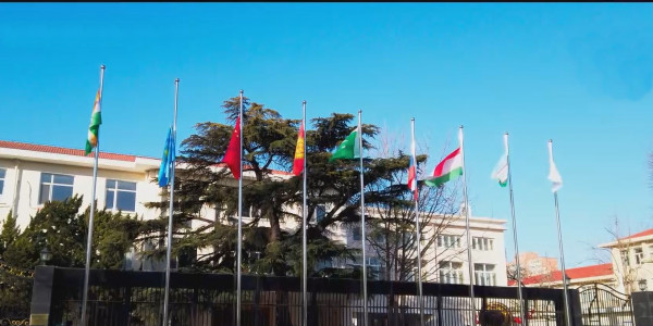 ШЫҰ штаб-пәтерінде тулар төмен түсірілді