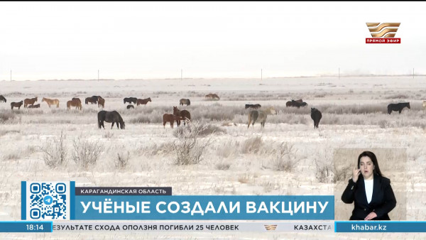 Казахстанские ученые создали первую вакцину от африканского сапа