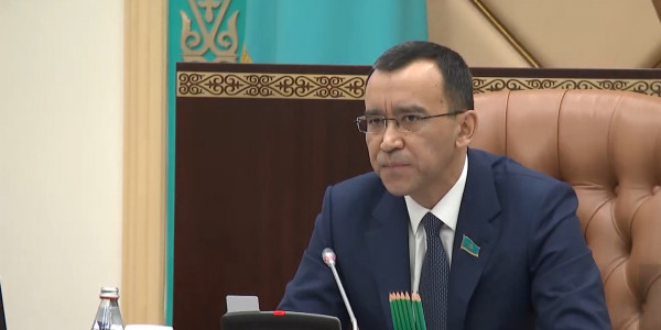 Отменить необходимость согласования госинициатив с Елбасы предложили в Сенате