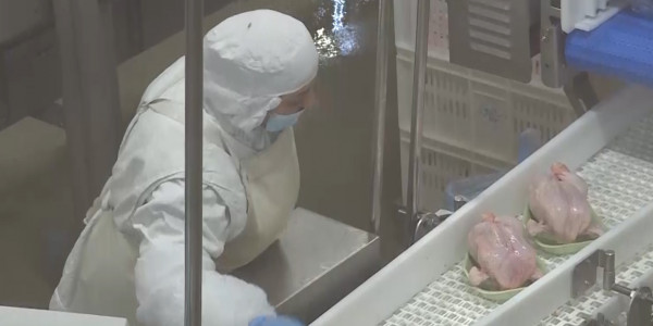 Вопросы развития АПК обсудили депутаты Сената