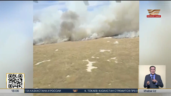 Пожар в природном резервате «Акжайык» локализовали в Атырауской области