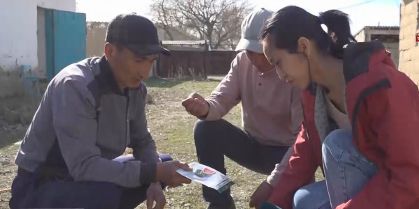 Абай облысында шаруалар суға жарымай отыр