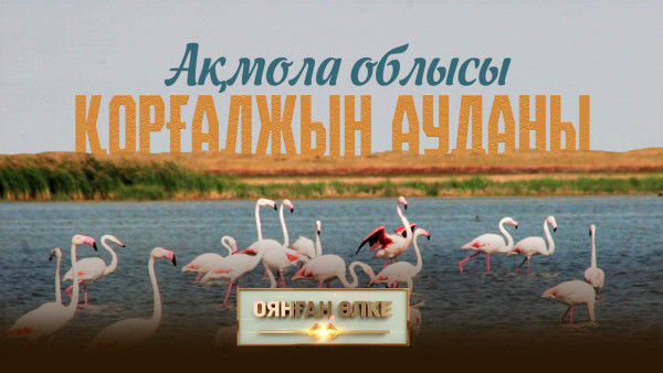 Ақмола облысы, Қорғалжын ауданы. &laquo;Оянған өлке&raquo; саяси ток-шоуы