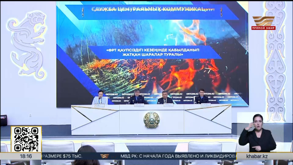 Систему раннего обнаружения пожаров запустили в резервате «Семей орманы»