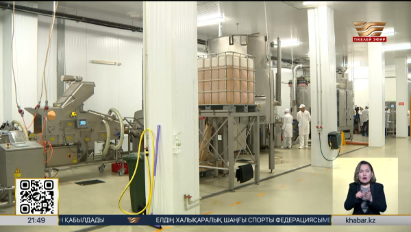 Кәсіпкерлер 1 наурызға дейін арнаулы салық режимін таңдауы тиіс