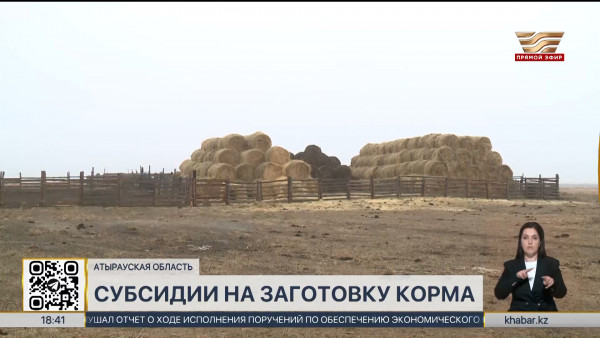 Субсидии  на корм скота просят восстановить животноводы Атырауской области