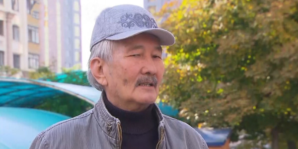 Писатель С.Елубай о статье Елбасы: Это экскурс в наше историческое прошлое