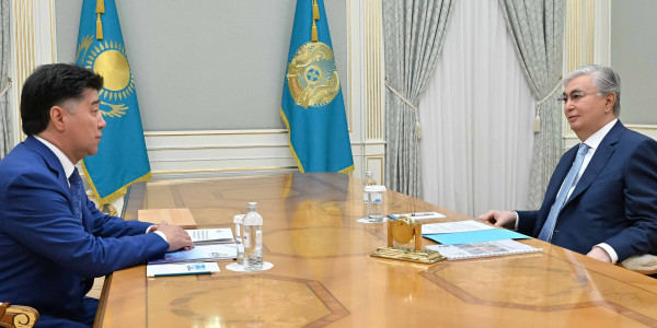 Президент принял председателя Управляющего комитета Астанинского хаба госслужбы