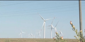Снизят ли счета на электроэнергию после установки ветровых мельниц в Жамбылской области?