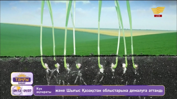 &laquo;KazBioRem-ЭМ&raquo; препараты суды органикалық ластағыштардан тазартады