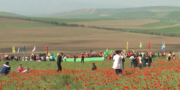 Түркістанда қызғалдақтар фестивалі өтті