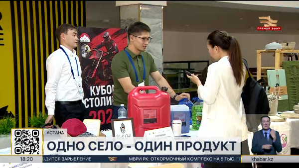 Региональный  этап проекта «Одно село - один продукт» проходит в Астане