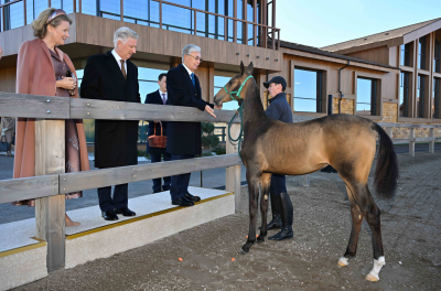 Король и Королева бельгийцев ознакомились с традициями казахского коневодства