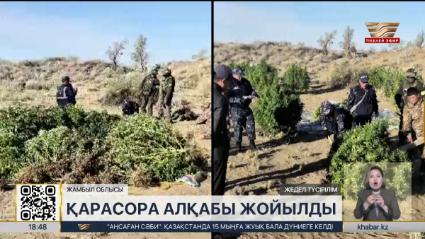 Жамбыл облысында ірі қарасора алқабы жойылды