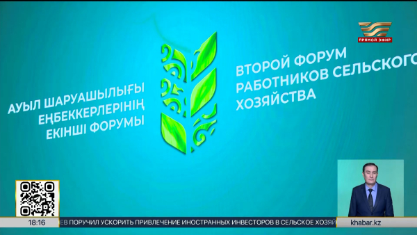 Рекордные 27,1 млн тонн зерна намолотили в Казахстане