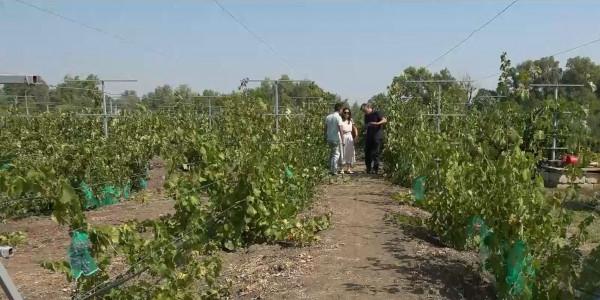 Уральский бизнесмен намерен создать ботанический сад