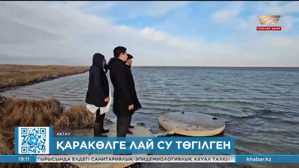 Ақтаулық экологтар аққулар қырылып жатқан көлді тексеруге кірісті