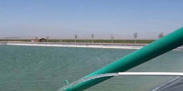 Өзбекстанда биыл су кодексі қабылданады