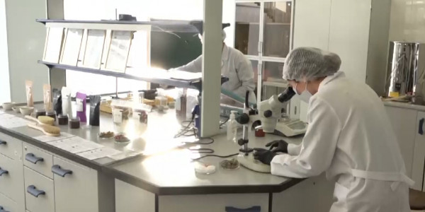 Жас ғалым бұрын-соңды болмаған косметикалық өнімдер желісін іске қосты