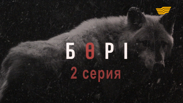 &laquo;Бөрі&raquo; 2 серия
