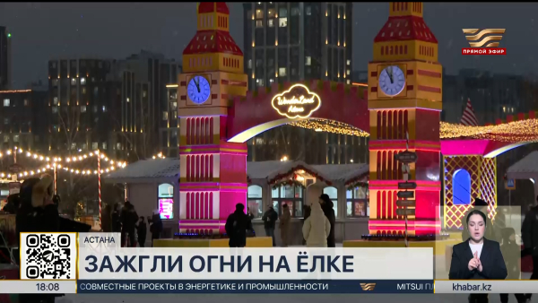 Главную новогоднюю ёлку зажгли в Астане