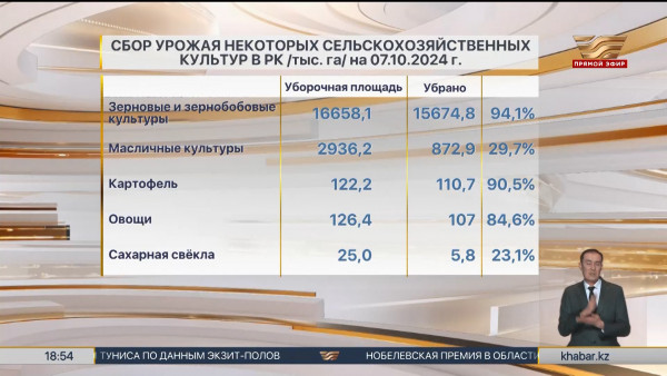 В Казахстане убрано 94% всех площадей зерновых и зернобобовых