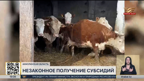 Хищение более ₸50 млн расследуют в Акмолинской области