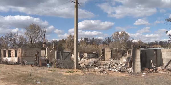 Қостанай облысындағы орман шаруашылығының басшысы абақтыға қамалды