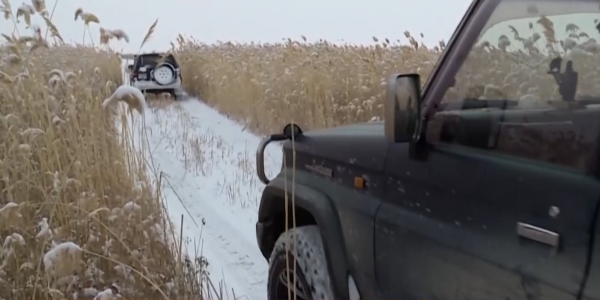 Больше 500 кормушек для диких зверей создано в Алматинской области