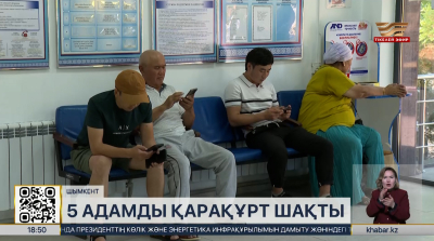 Шымкентте 5 адамды қарақұрт шақты