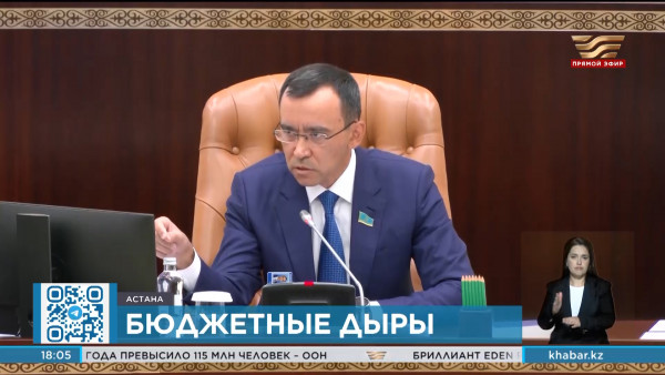 Исполнение республиканского бюджета обсудили в Сенате