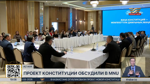 Проект новой Конституции поддержали в MNU