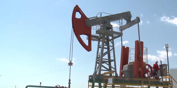 В Правительстве назвали суммы ущерба от экспорта нефти