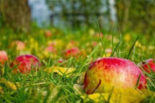 Кратковременные дожди ожидаются на севере Казахстана